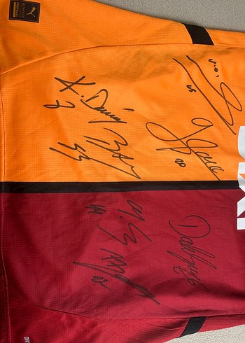 Erkek Kısa Kollu Galatasaray Forması - Görsel 3