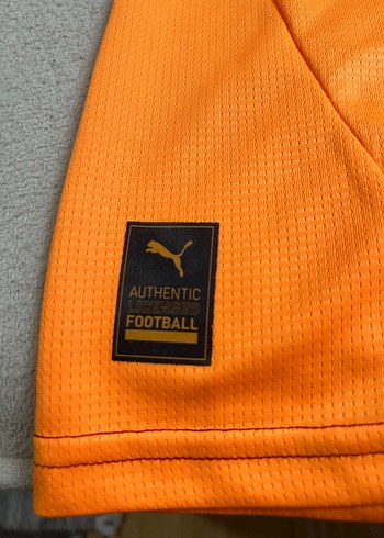 Erkek Kısa Kollu Galatasaray Forması - Görsel 4