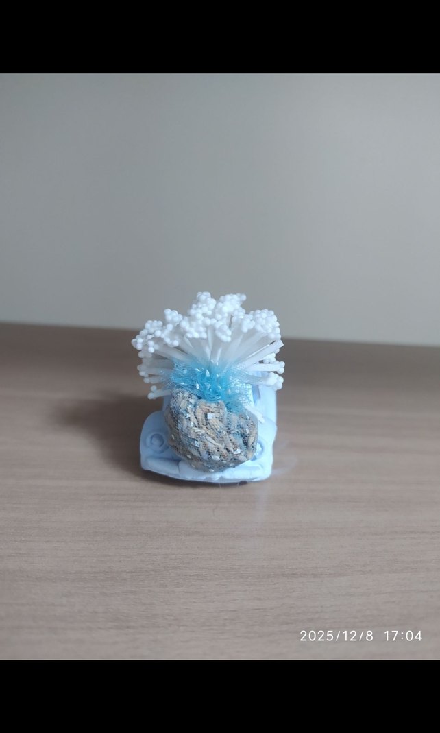 Pastel Turkuaz Dekoratif Taş Araba - Görsel 5