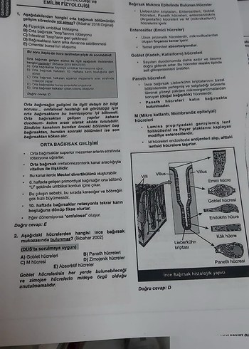 Klinisyen TTS Kitapları 36. Baskı - Görsel 3