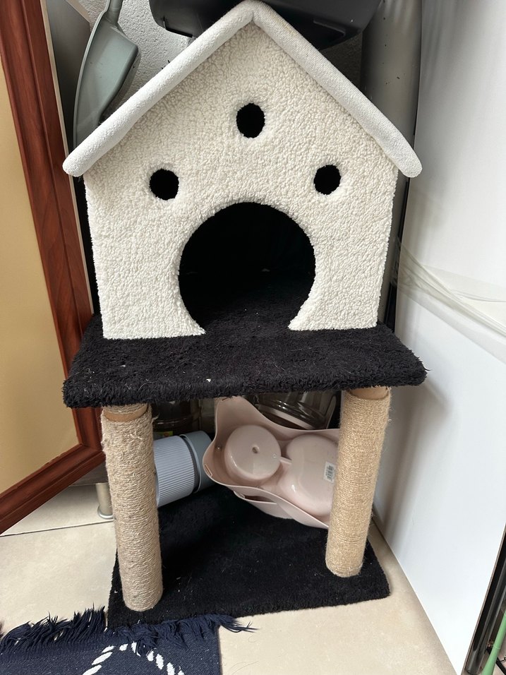 Beyaz ve siyah Kedi Evi ve Tırmalama Direği - Görsel 2