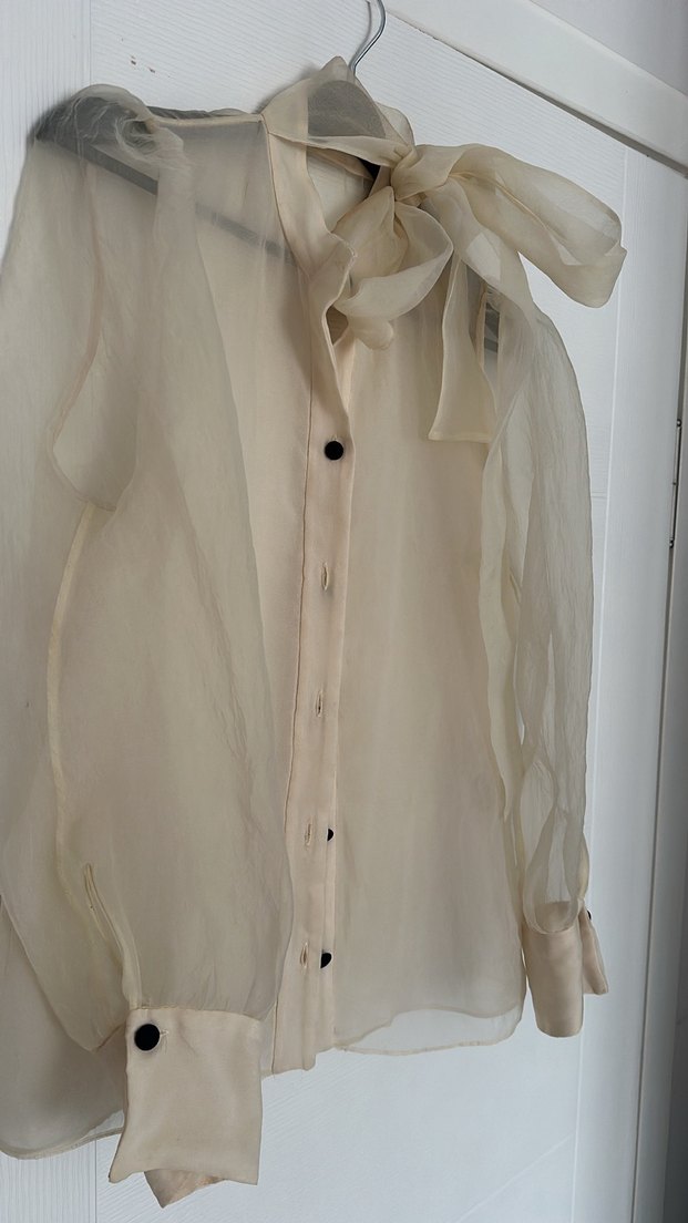 Bej Düğmeli Kadın transparan Gömlek - Görsel 3