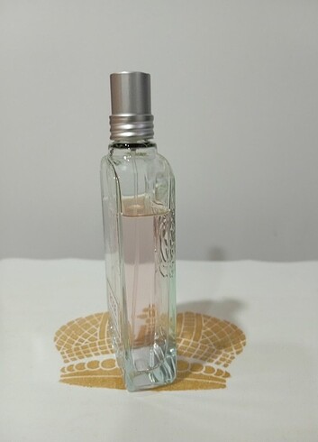 Beden Loccitane Rose Edt Kadın