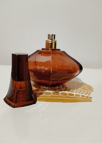 Secret Obsession Edp Kadın - Görsel 4