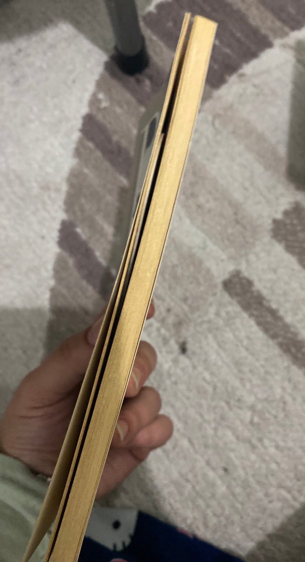 Dokuzuncu Hariciye Koğuşu - Peyami Safa - Görsel 2