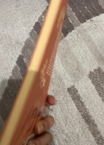 Sergüzeşt - Sami Paşazade Sezai - Görsel 2