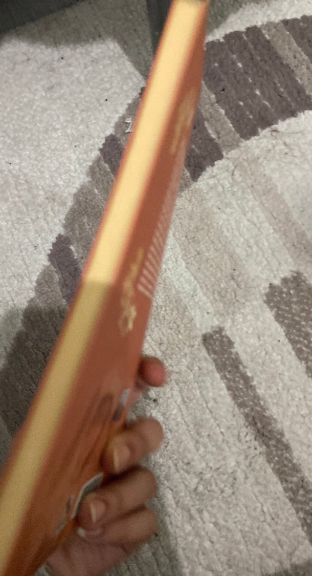 Sergüzeşt - Sami Paşazade Sezai - Görsel 2