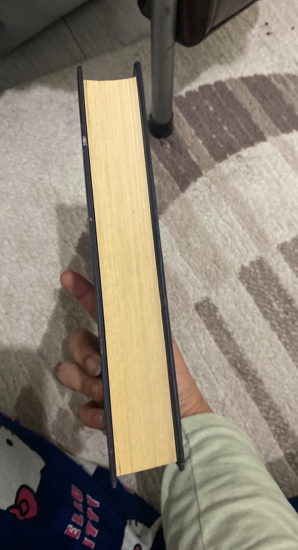 Sonsuz Yağmurların Şarkısı - E. J. Mellow - Görsel 3