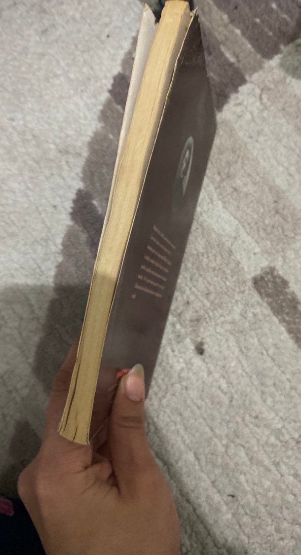 Soytarı - Maksim Gorki - Görsel 2