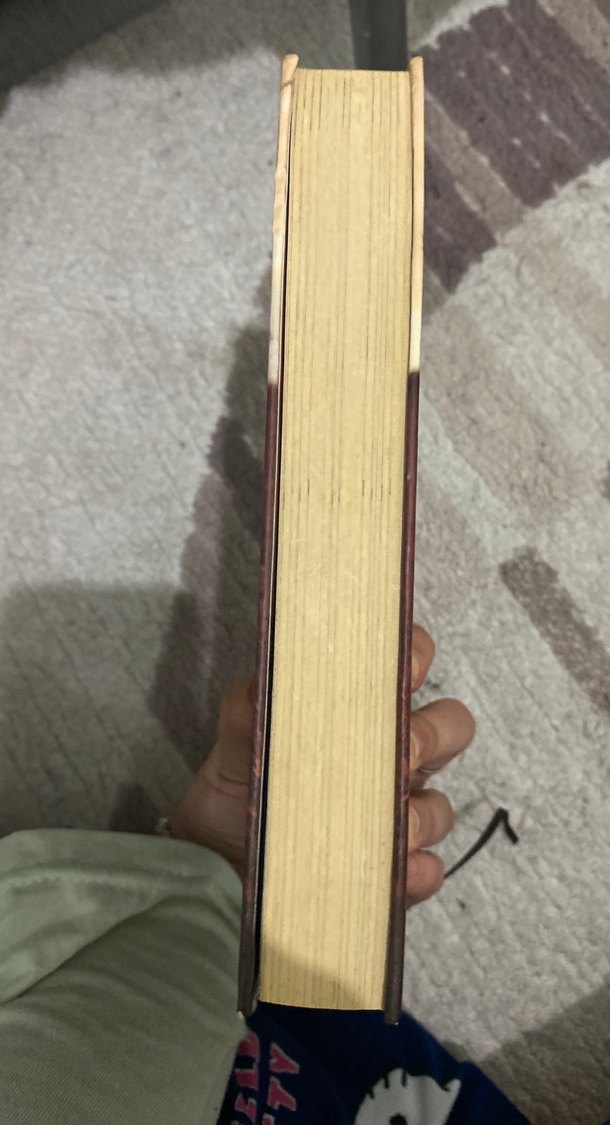 Kimliği Kirletilmişler Mabedi Kitabı - Görsel 2