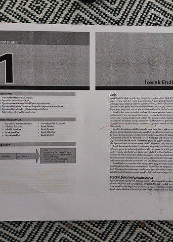 İÇEÇEK BİLGİSİ-AŞÇILIK