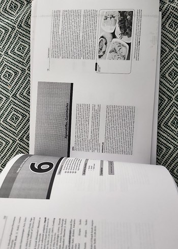 TEMEL MUTFAK TEKNİKLERİ-AŞÇILIK - Görsel 5