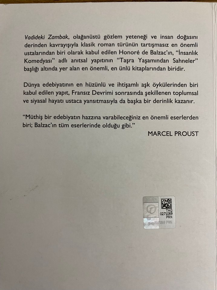 Vadideki Zambak - Honoré de Balzac - Görsel 2