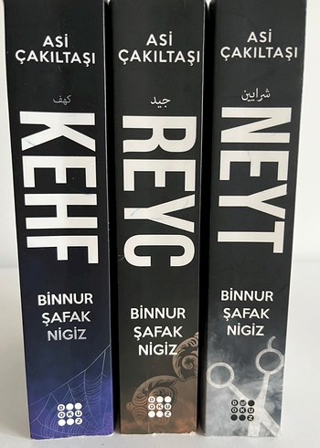 Asi Çakıltaşı serisi - Görsel 2