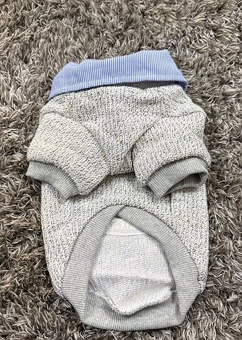 Gri Örgü Köpek Kazağı Yakalı beden S - Görsel 2