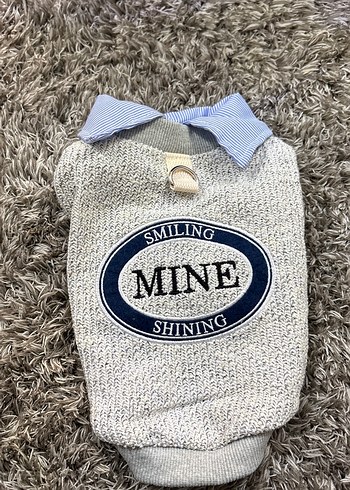 Gri Örgü Köpek Kazağı Yakalı beden S - Görsel 3