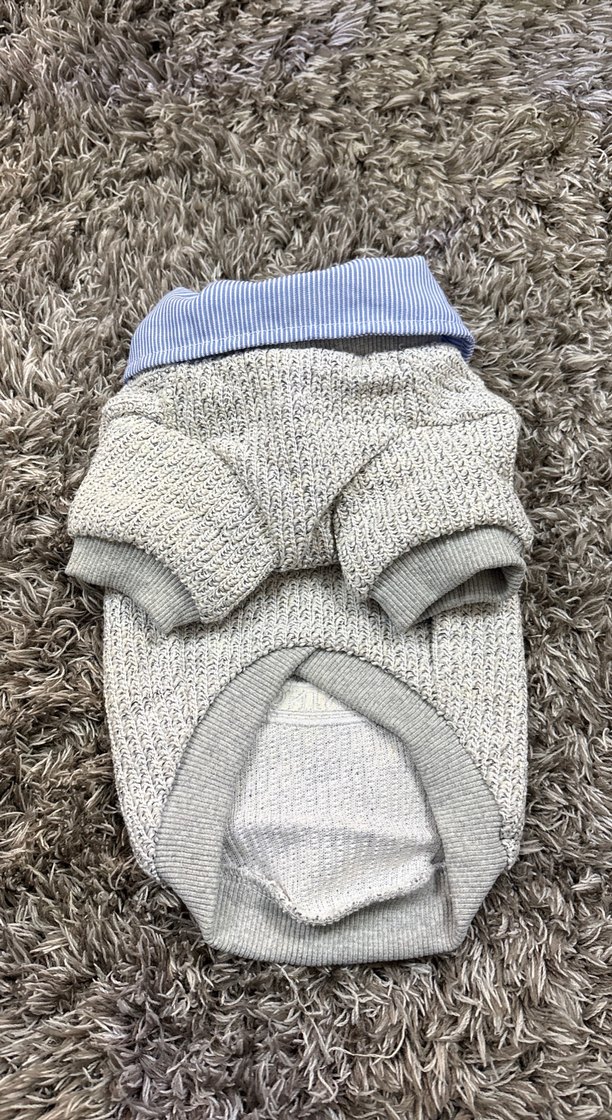 Gri Örgü Köpek Kazağı Yakalı beden S - Görsel 2