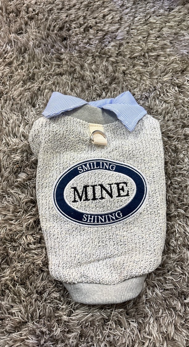 Gri Örgü Köpek Kazağı Yakalı beden S - Görsel 3