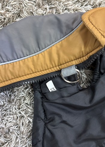 Gri Biker Tarzı Kürklü Köpek Montu - Görsel 4