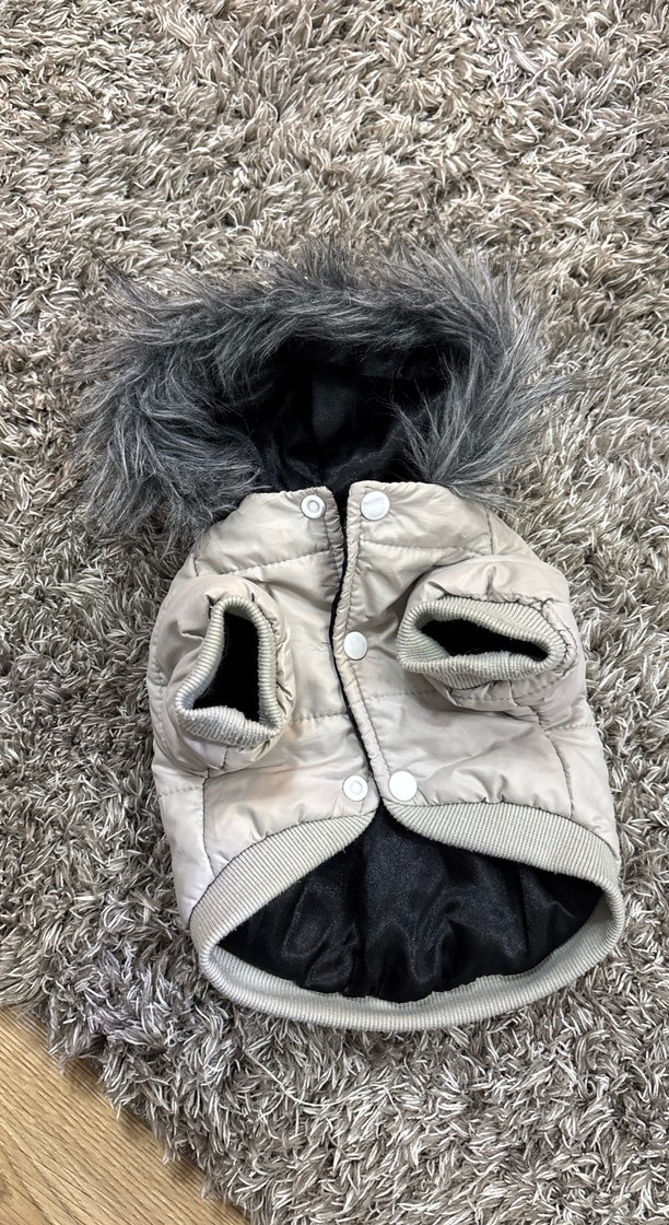 Gri Kürklü Sokak Stili Köpek Kıyafeti - Görsel 3