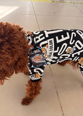 Renkli Baskılı Siyah Köpek Kıyafeti - Görsel 2