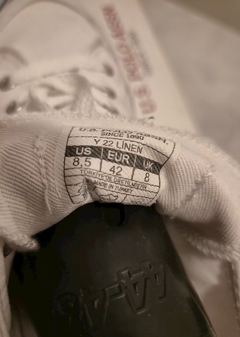 U.S. Polo Erkek Converse Stil Ayakkabı - Görsel 5