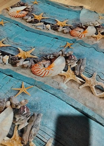 Deniz kabugu desenli pareo - Görsel 3