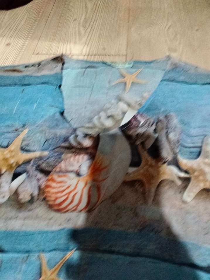 Deniz kabugu desenli pareo - Görsel 4