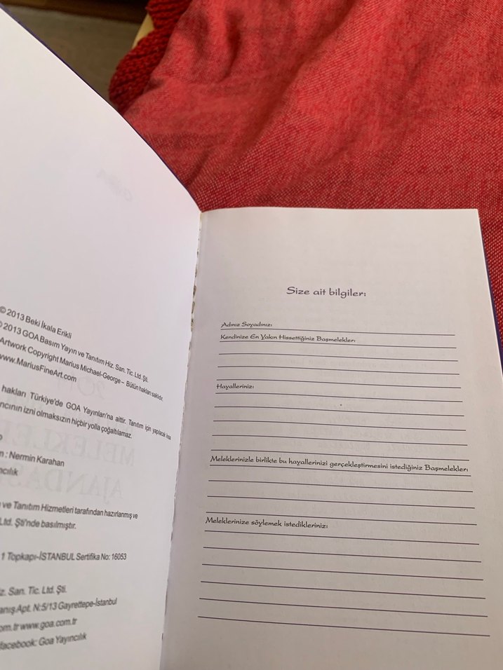 Melekler Ajandası 2014 - Beki İkala Erikli - Görsel 2