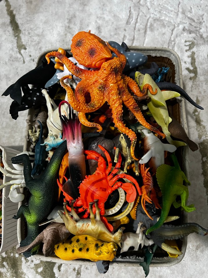 2kutu oyuncak - Görsel 5