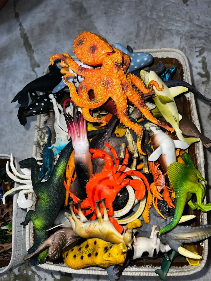 2kutu oyuncak - Görsel 4