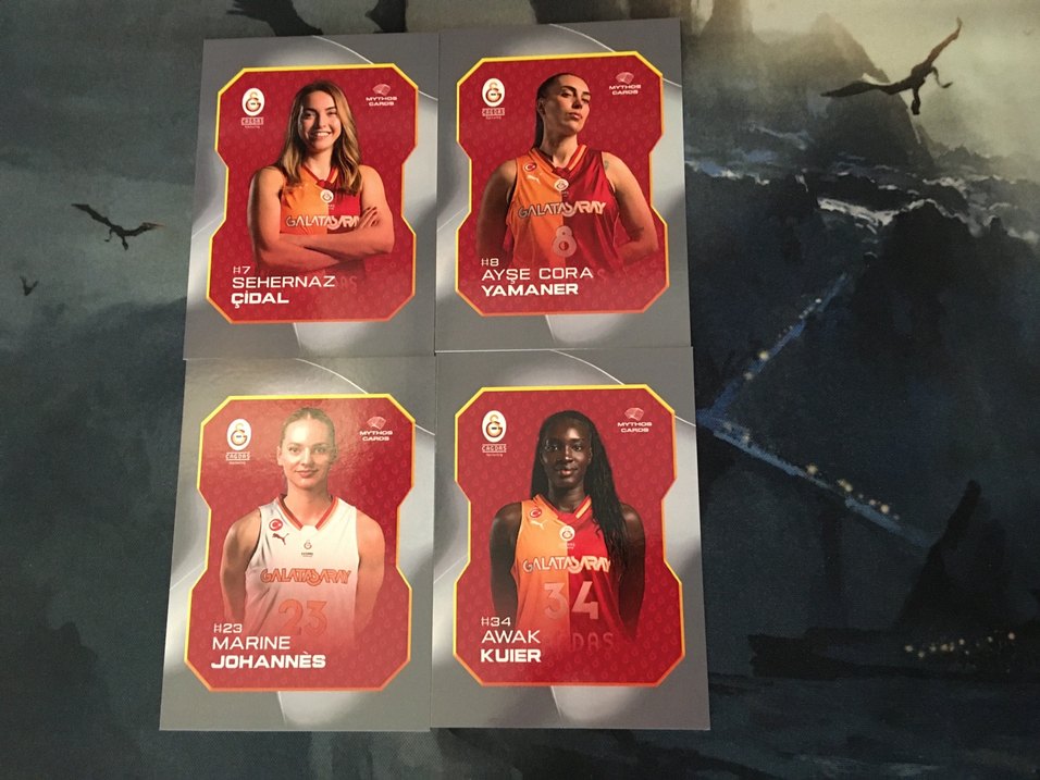 Galatasaray Unity Base Kartlar - Görsel 4