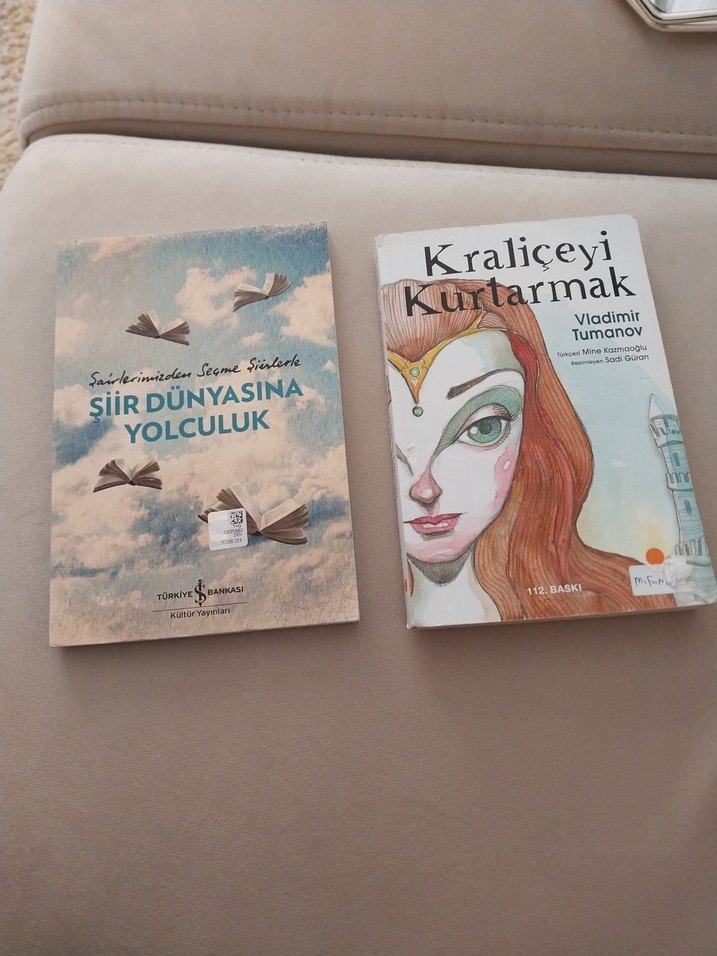 A.Ş.K. ve Suç ve Ceza Romanları  5 kitap 550 - Görsel 4