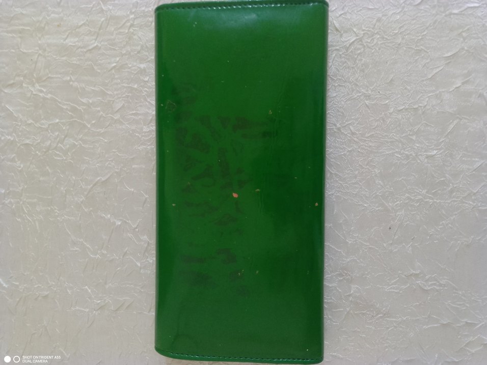 Yeşil Kadın Cüzdan - Görsel 4