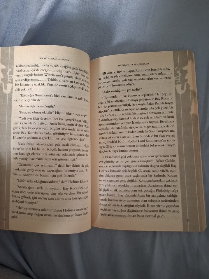 Sherlock Holmes - Bakır Renkli Kayın Ağaçları - Görsel 2