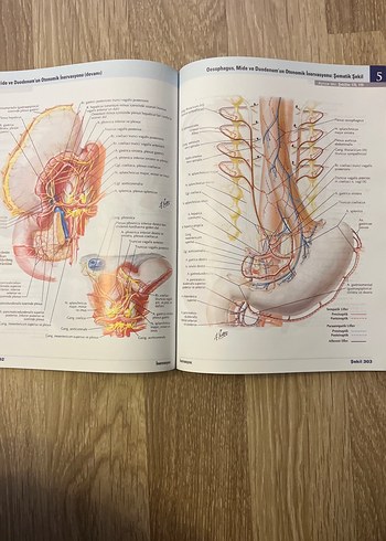 İnsan Anatomisi Atlası - Frank H. Netter - Görsel 3