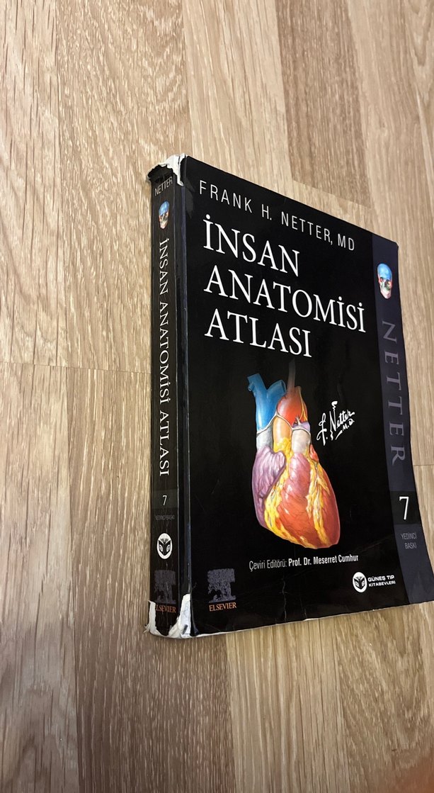 İnsan Anatomisi Atlası - Frank H. Netter - Görsel 2