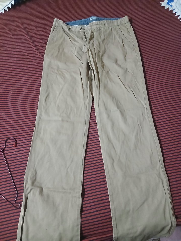 Bej Regular Fit Günlük Erkek Pantolon - Görsel 2