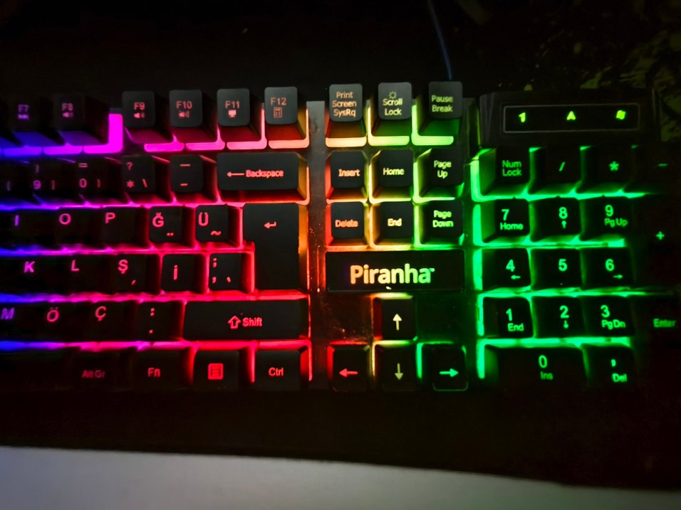 Renkli Piranhar RGB Klavye - Görsel 4