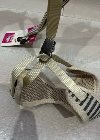 Lacivert Çizgili Köpek Göğüs Tasması - Görsel 3