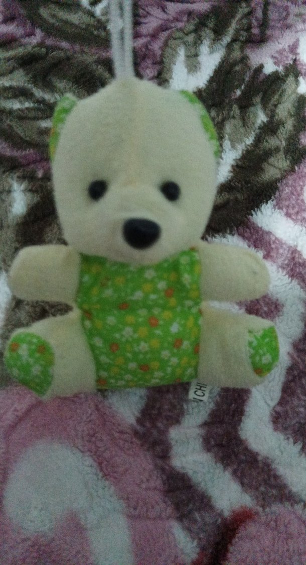 Renkli Küçük Peluş Ayıcık - Görsel 2