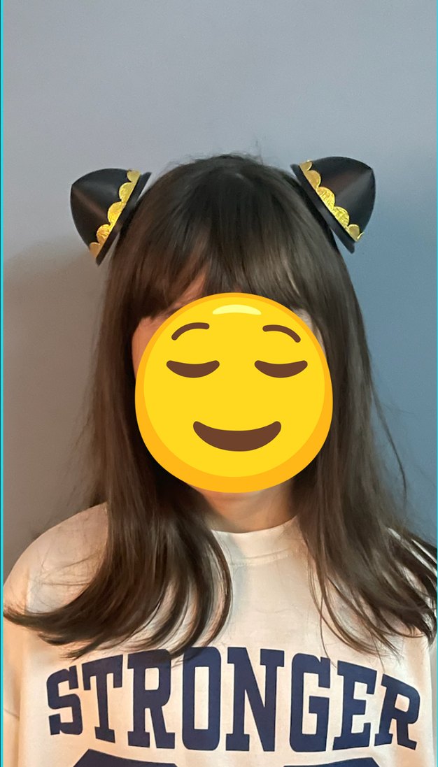 Spy x Family Anna Forger Taç - Görsel 2