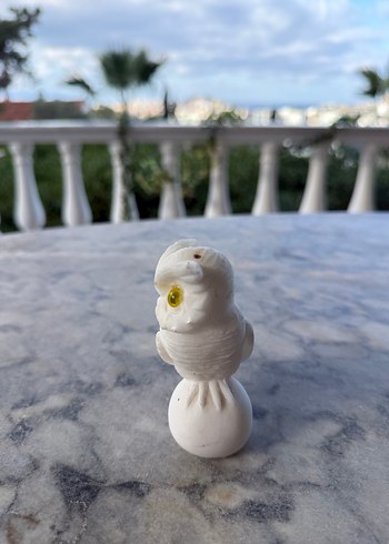 Beyaz Baykuş Biblosu - Görsel 2