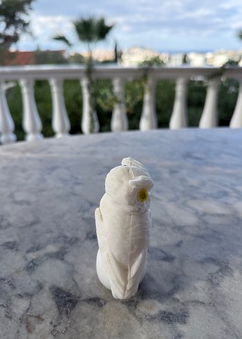 Beyaz Baykuş Biblosu - Görsel 4