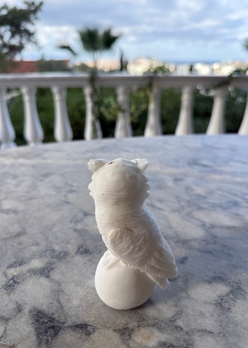 Beyaz Baykuş Biblosu - Görsel 3