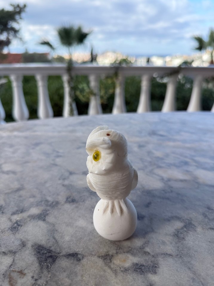 Beyaz Baykuş Biblosu - Görsel 2