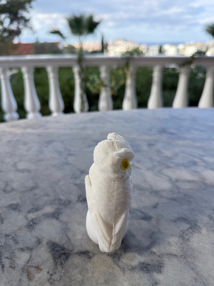 Beyaz Baykuş Biblosu - Görsel 4