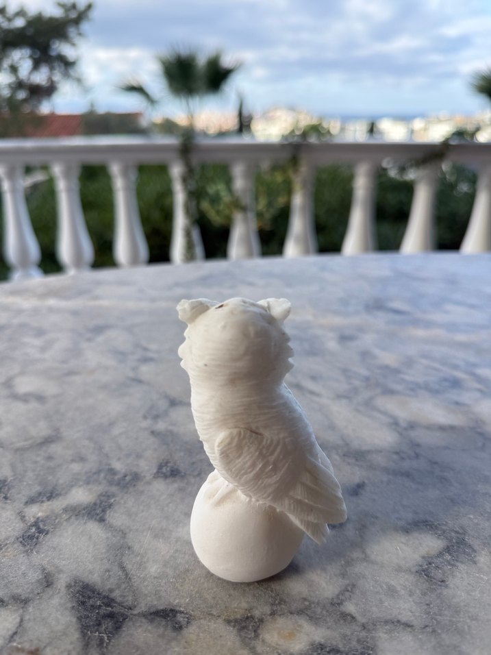 Beyaz Baykuş Biblosu - Görsel 3