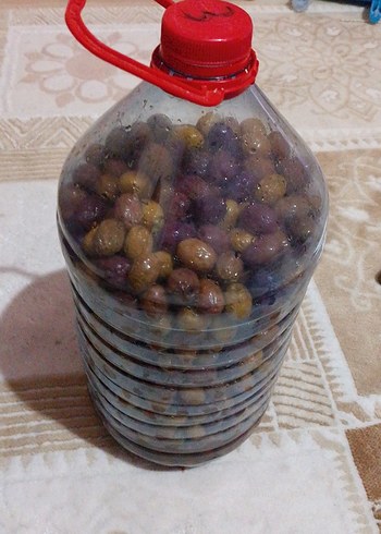 el yapımı zeytin - Görsel 2