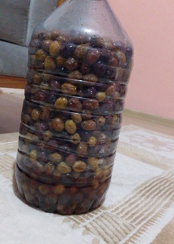 el yapımı zeytin - Görsel 3